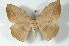  ( - BC-Her2494)  @14 [ ] Copyright (2010) Unspecified Research Collection of Daniel Herbin