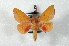  ( - BC-Her2519)  @13 [ ] Copyright (2010) Unspecified Research Collection of Daniel Herbin