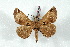  ( - BC-Her2536)  @14 [ ] Copyright (2010) Unspecified Research Collection of Daniel Herbin