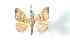  ( - BC-Her2682)  @13 [ ] Copyright (2010) Unspecified Research Collection of Daniel Herbin