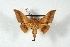  ( - BC-Her2799)  @13 [ ] Copyright (2010) Unspecified Research Collection of Daniel Herbin