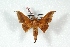  ( - BC-Her2800)  @13 [ ] Copyright (2010) Unspecified Research Collection of Daniel Herbin