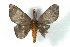  ( - BC-Her2805)  @13 [ ] Copyright (2010) Unspecified Research Collection of Daniel Herbin
