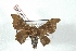  ( - BC-Her2831)  @13 [ ] Copyright (2010) Unspecified Research Collection of Daniel Herbin