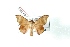 ( - BC-Her2962)  @11 [ ] Copyright (2010) Unspecified Research Collection of Daniel Herbin