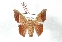  ( - BC-Her2966)  @11 [ ] Copyright (2010) Unspecified Research Collection of Daniel Herbin