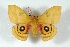  ( - BC-Her3092)  @14 [ ] Copyright (2010) Unspecified Research Collection of Daniel Herbin