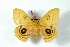  ( - BC-Her3094)  @14 [ ] Copyright (2010) Unspecified Research Collection of Daniel Herbin