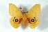  ( - BC-Her3095)  @11 [ ] Copyright (2010) Unspecified Research Collection of Daniel Herbin