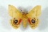  ( - BC-Her3096)  @14 [ ] Copyright (2010) Unspecified Research Collection of Daniel Herbin