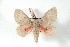  ( - BC-Her3102)  @13 [ ] Copyright (2010) Unspecified Research Collection of Daniel Herbin