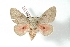  ( - BC-Her3103)  @13 [ ] Copyright (2010) Unspecified Research Collection of Daniel Herbin