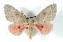  ( - BC-Her3119)  @14 [ ] Copyright (2010) Unspecified Research Collection of Daniel Herbin