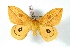  ( - BC-Her3124)  @13 [ ] Copyright (2010) Unspecified Research Collection of Daniel Herbin