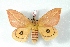  ( - BC-Her3125)  @14 [ ] Copyright (2010) Unspecified Research Collection of Daniel Herbin