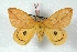  ( - BC-Her3128)  @14 [ ] Copyright (2010) Unspecified Research Collection of Daniel Herbin