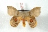  ( - BC-Her3161)  @14 [ ] Copyright (2010) Unspecified Research Collection of Daniel Herbin