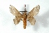  ( - BC-Her3239)  @13 [ ] Copyright (2010) Unspecified Research Collection of Daniel Herbin