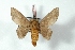 ( - BC-Her3240)  @12 [ ] Copyright (2010) Unspecified Research Collection of Daniel Herbin