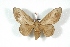  ( - BC-Her3255)  @14 [ ] Copyright (2010) Unspecified Research Collection of Daniel Herbin