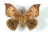  ( - BC-Her3333)  @14 [ ] Copyright (2010) Unspecified Research Collection of Daniel Herbin