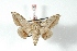  ( - BC-Her3336)  @12 [ ] Copyright (2010) Unspecified Research Collection of Daniel Herbin