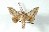  ( - BC-Her3338)  @12 [ ] Copyright (2010) Unspecified Research Collection of Daniel Herbin