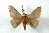 ( - BC-Her3356)  @13 [ ] Copyright (2010) Unspecified Research Collection of Daniel Herbin