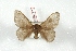  ( - BC-Her3371)  @11 [ ] Copyright (2010) Unspecified Research Collection of Daniel Herbin