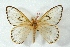  ( - BC-Her3393)  @13 [ ] Copyright (2010) Unspecified Research Collection of Daniel Herbin