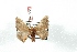  ( - BC-Her3508)  @12 [ ] Copyright (2010) Unspecified Research Collection of Daniel Herbin