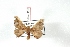  ( - BC-Her3510)  @12 [ ] Copyright (2010) Unspecified Research Collection of Daniel Herbin
