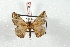  ( - BC-Her3511)  @12 [ ] Copyright (2010) Unspecified Research Collection of Daniel Herbin