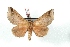  ( - BC-Her3512)  @12 [ ] Copyright (2010) Unspecified Research Collection of Daniel Herbin