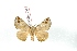  ( - BC-Her3513)  @12 [ ] Copyright (2010) Unspecified Research Collection of Daniel Herbin