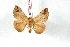  ( - BC-Her3514)  @12 [ ] Copyright (2010) Unspecified Research Collection of Daniel Herbin
