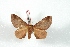  ( - BC-Her3518)  @12 [ ] Copyright (2010) Unspecified Research Collection of Daniel Herbin