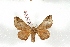  ( - BC-Her3519)  @12 [ ] Copyright (2010) Unspecified Research Collection of Daniel Herbin