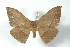  ( - BC-Her3570)  @13 [ ] Copyright (2010) Unspecified Research Collection of Daniel Herbin