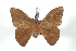  ( - BC-Her3575)  @13 [ ] Copyright (2010) Unspecified Research Collection of Daniel Herbin