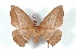  ( - BC-Her3581)  @11 [ ] Copyright (2010) Unspecified Research Collection of Daniel Herbin