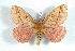  ( - BC-Her3618)  @11 [ ] Copyright (2010) Unspecified Research Collection of Daniel Herbin