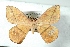  ( - BC-Her3632)  @11 [ ] Copyright (2010) Unspecified Research Collection of Daniel Herbin