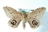  ( - BC-Her3640)  @11 [ ] Copyright (2010) Unspecified Research Collection of Daniel Herbin