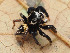  ( - SDNA024)  @11 [ ] nrr (2025) Unspecified Unspecified