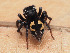  ( - SDNA020)  @11 [ ] nrr (2025) Unspecified Unspecified