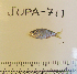  ( - JUPA-711)  @13 [ ] CreativeCommons - Attribution Share-Alike (2014) Unspecified Hawaii Preparatory Academy