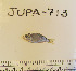  ( - JUPA-713)  @12 [ ] CreativeCommons - Attribution Share-Alike (2014) Unspecified Hawaii Preparatory Academy