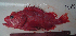 ( - ATS-158)  @12 [ ] CreativeCommons - Attribution Share-Alike (2013) Unspecified Glenbard East H.S.