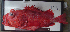  ( - ATS-159)  @11 [ ] CreativeCommons - Attribution Share-Alike (2013) Unspecified Glenbard East H.S.